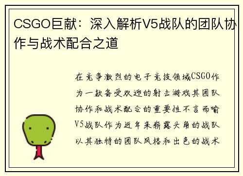 CSGO巨献：深入解析V5战队的团队协作与战术配合之道